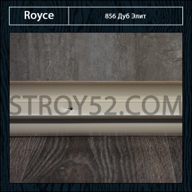 Дуб Элит 856
